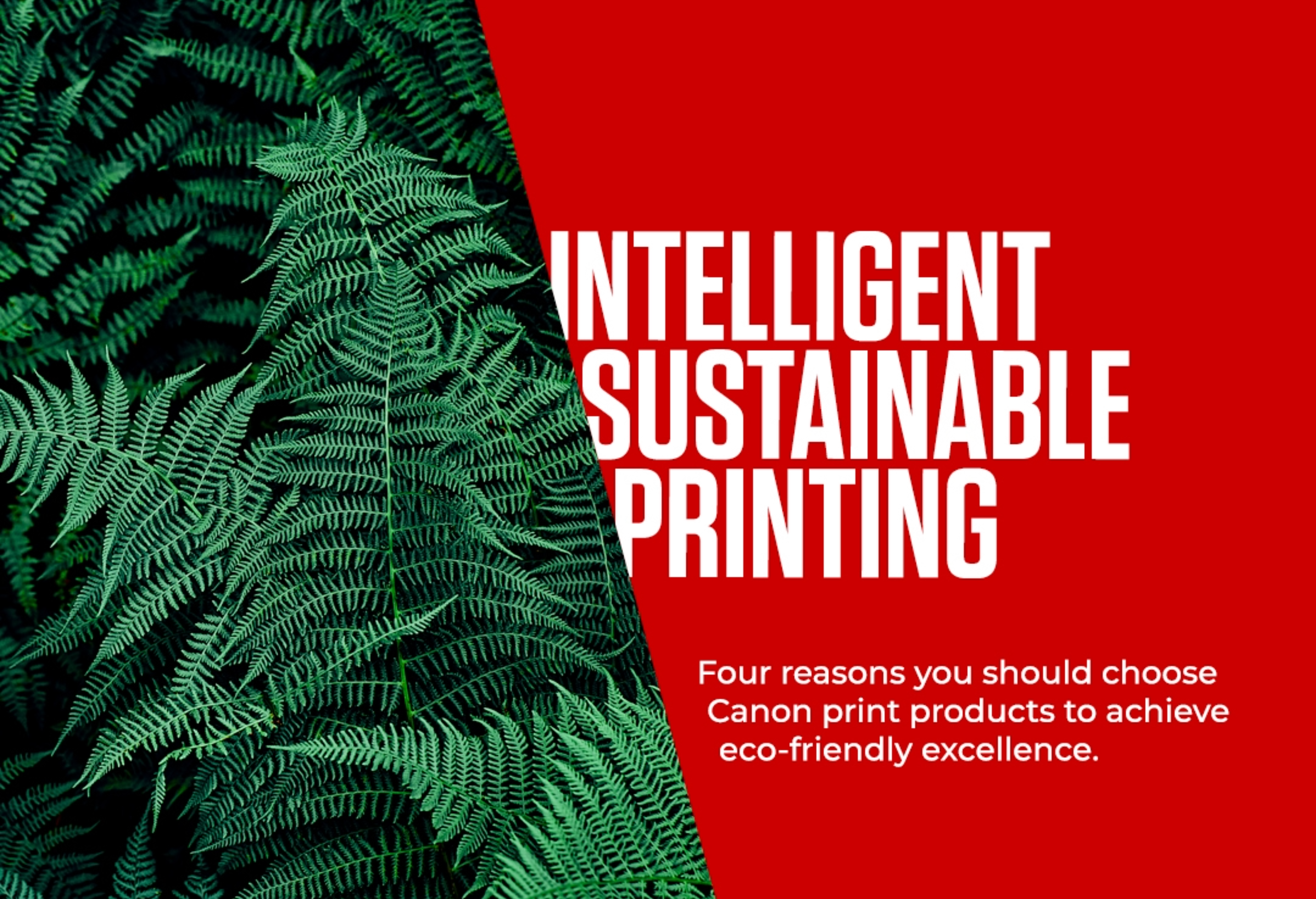 Intelligent sustainable printing. Four reasons you should choose Canon print products to achieve eco-friendly excellence.